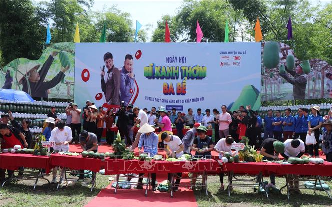 Phần thi cắt, tỉa bí trưng bày trong ngày hội. Ảnh: Vũ Hoàng Giang - TTXVN
