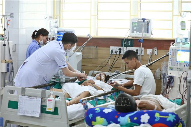Khu điều trị bệnh nhân tại Trung tâm Chống độc Bệnh viện Bạch Mai. Ảnh: Minh Quyết – TTXVN