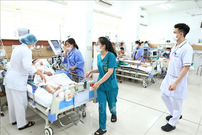 Khu điều trị bệnh nhân tại Trung tâm Chống độc Bệnh viện Bạch Mai. Ảnh: Minh Quyết – TTXVN