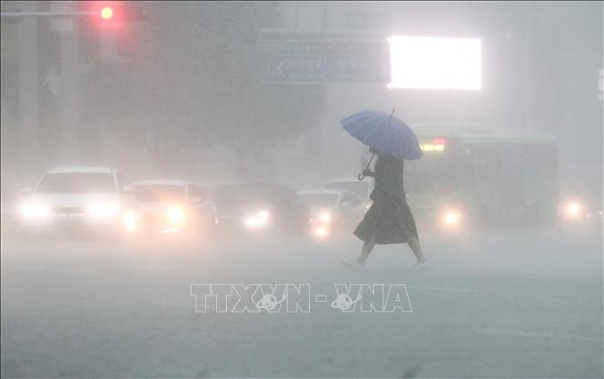 Mưa lớn tại Daegu, Hàn Quốc ngày 11/7/2023. Ảnh: Yonhap/TTXVN