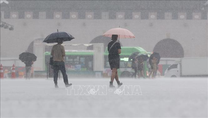 Mưa lớn tại Daegu, Hàn Quốc ngày 11/7/2023. Ảnh: Yonhap/TTXVN