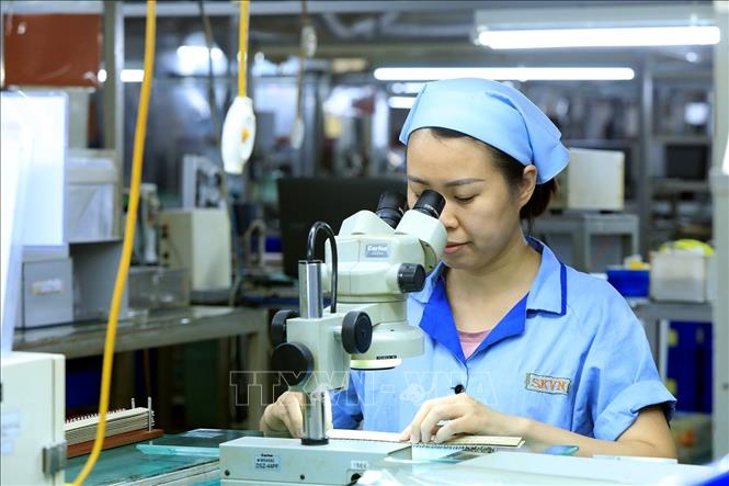 Công ty TNHH Sankoh góp phần tăng giá trị xuất khẩu của tỉnh Hòa Bình. Ảnh: Tuấn Anh - TTXVN