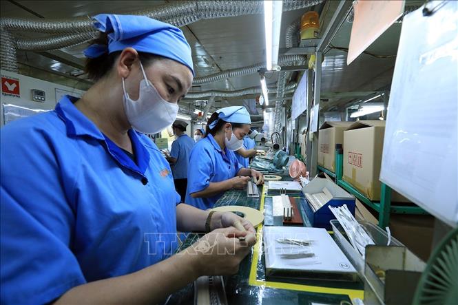 Công ty TNHH Sankoh Việt Nam đã tạo việc làm ổn định cho hơn 1.000 lao động. Ảnh: Tuấn Anh - TTXVN