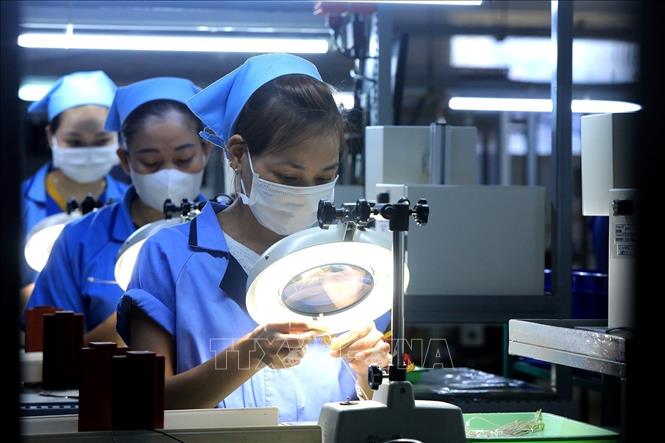 Kiểm tra các thành phẩm. Ảnh: Tuấn Anh - TTXVN