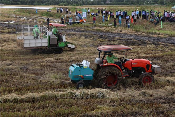 Trình diễn thiết bị công nghệ trong thu gom, xử lý và sử dụng rơm rạ ...