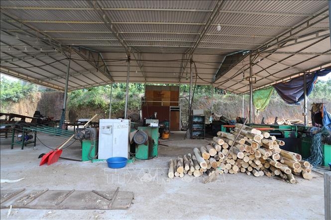 Một số xưởng xẻ ván thanh trên địa bàn huyện Trấn Yên hoạt động cầm chừng, phục vụ thị trương trong nước. Ảnh: Tiến Khánh - TTXVN