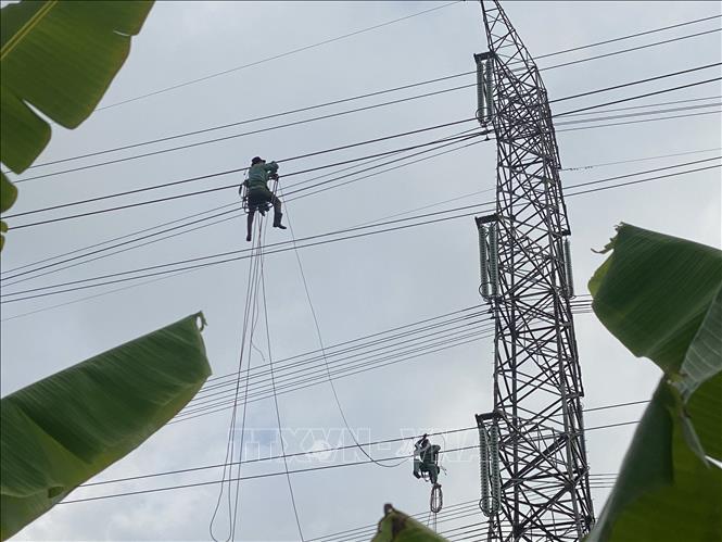 Đơn vị thi công tiến hành kéo dây đường dây điện dự án “Công trình đường dây 220kV Nhiệt điện Hải Dương – Trạm 500kV Phố Nối đoạn qua thôn Đồng Xuyên, thôn Hộ Vệ và thôn Đông Đồng, xã Cẩm Hưng, huyện Cẩm Giàng. Ảnh: TTXVN phát
