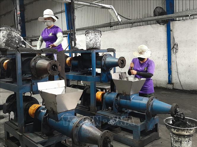 Công nhân sản xuất than gáo dừa. Ảnh: K GỬIH -TTXVN


