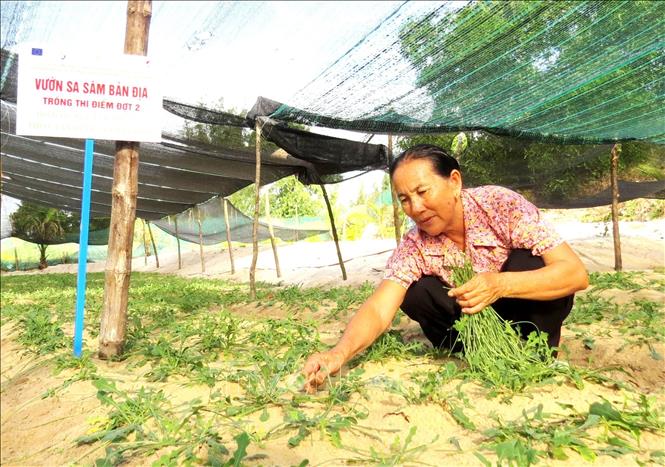 Cựu chiến binh huyện Trấn Yên làm kinh tế giỏi giúp nhau giảm nghèo