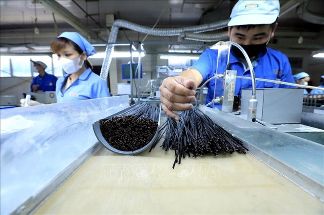 Sản xuất gia công linh kiện đo lường nhiệt độ: Điện trở thành phẩm và dây dẫn tại Công ty TNHH Sankoh Việt Nam (Nhật Bản) tại tỉnh Hòa Bình. Ảnh: Tuấn Anh - TTXVN