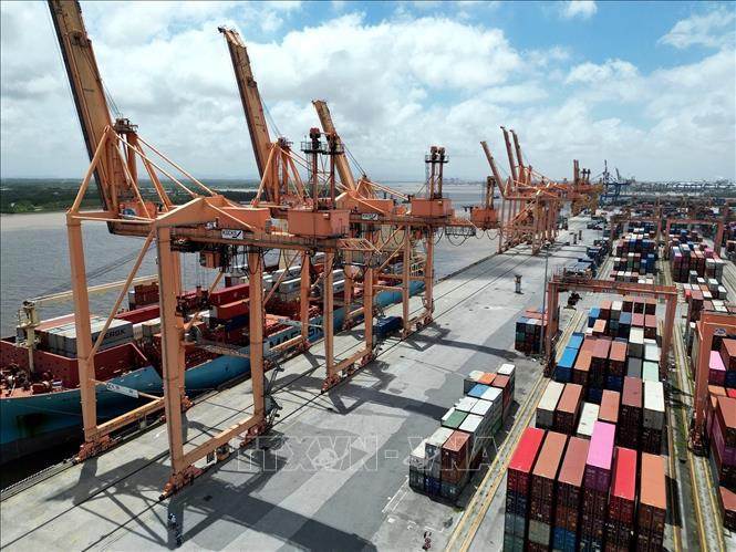 Hệ thống cần trục bánh lốp tự hành bốc dỡ hàng hóa tại cảng Tân Vũ. Ảnh: Tuấn Anh - TTXVN