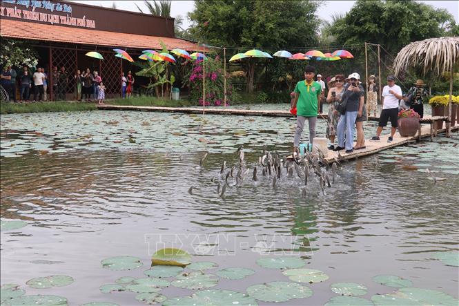 A tourist site in Tan Quy Dong precinct, Sa Dec city. VNA Photo: Nguyễn Văn Trí 