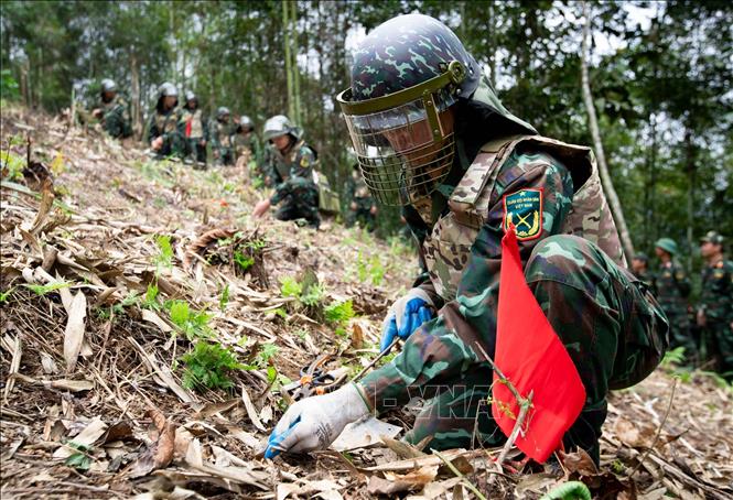 Cán bộ, chiến sĩ, công nhân quốc phòng luôn cẩn thận trong công tác tìm kiếm, dò, gỡ bom, mìn, vật liệu nổ bị vùi lấp lâu năm trong đất. Ảnh: Hoàng Hiếu – TTXVN