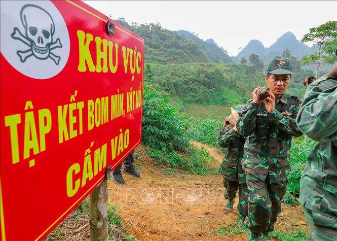 Bom, mìn, vật nổ sau khi dò gỡ, xử lý an toàn được cán bộ, chiến sĩ Công ty xử lý bom mìn, vật nổ 319 (Bộ Quốc phòng) chuyển về vị trí tập kết. Ảnh: Hoàng Hiếu – TTXVN