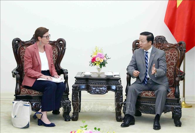 Deputy Prime Minister Tran Hong Ha receives WHO Representative in Vietnam Angela Pratt. VNA Photo: Phạm Kiên