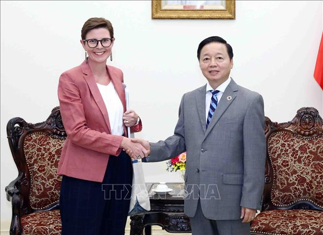 Deputy Prime Minister Tran Hong Ha receives WHO Representative in Vietnam Angela Pratt. VNA Photo: Phạm Kiên