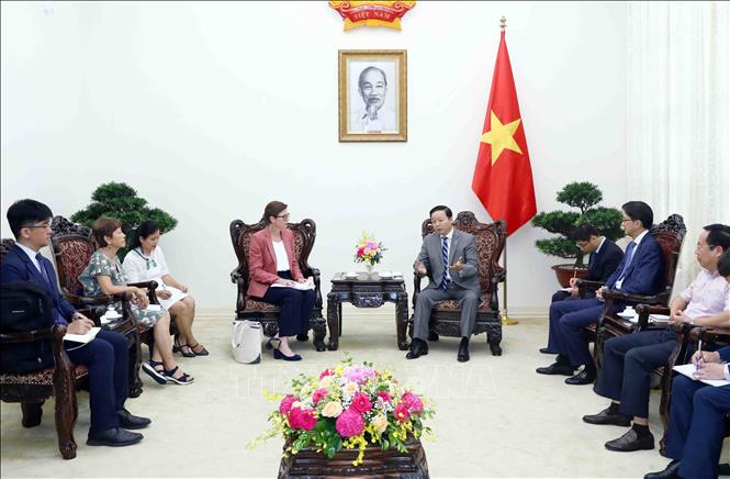 Deputy Prime Minister Tran Hong Ha receives WHO Representative in Vietnam Angela Pratt. VNA Photo: Phạm Kiên