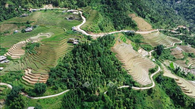 Một con đường uốn lượn khúc khuỷu quanh những ruộng bậc thang tại thôn Xà Phìn. Ảnh: Hoàng Hiếu - TTXVN