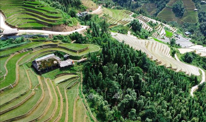 Từ thôn Xà Phìn, du khách có thể ngắm nhìn những ngôi nhà mái cọ rêu phong, những thửa ruộng bậc thang, những con đường uốn lượn. Ảnh: Hoàng Hiếu - TTXVN