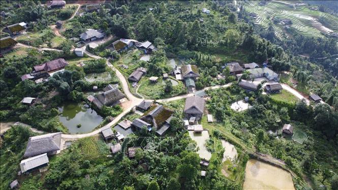Những ngôi nhà mái cọ phủ rêu phong là điểm nhấn cho du khách tìm đến du lịch, khám phá tại thôn Xà Phìn, dãy Tây Côn Lĩnh. Ảnh: Hoàng Hiếu - TTXVN