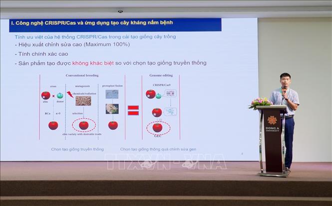 Tiến sĩ Đỗ Tiến Phát, Viện Công nghệ Sinh học, Viện Hàn lâm Khoa học và Công nghệ Việt Nam trình bày đề tài nghiên cứu tại hội thảo. Ảnh: Hoài Thu – TTXVN