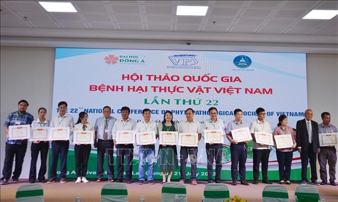 Khen thưởng Hội viên Hội nghiên cứu bệnh hại thực vật Việt Nam có nhiều thành tích trong công tác hội và nghiên cứu tại hội thảo. Ảnh: Hoài Thu – TTXVN
