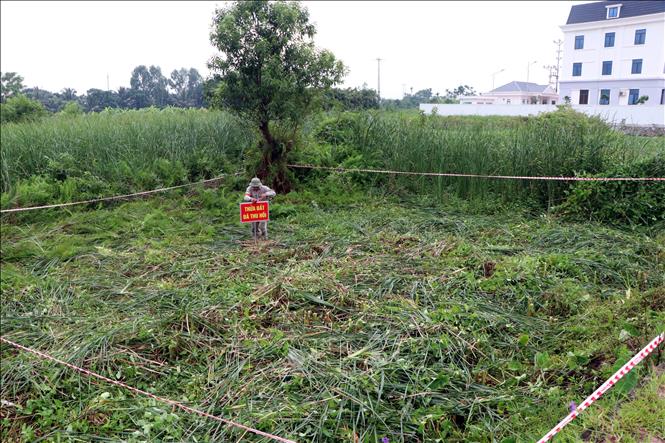 Trong ảnh: Ban thực hiện cưỡng chế thu hồi đất tiến hành cưỡng chế, thu hồi đất của 2 hộ dân không chấp hành quyết định. Ảnh: Mạnh Tú - TTXVN
