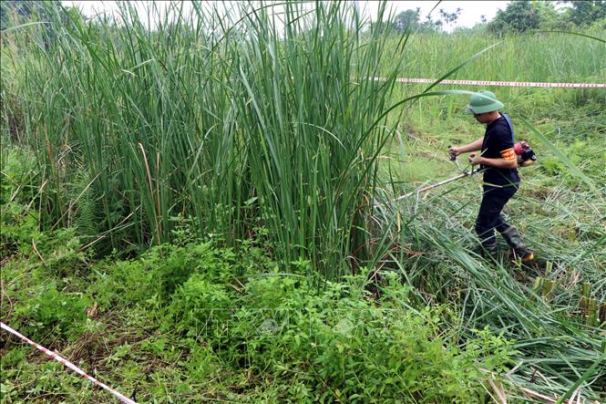 Trong ảnh: Ban thực hiện cưỡng chế thu hồi đất tiến hành cưỡng chế, thu hồi đất của 2 hộ dân không chấp hành quyết định. Ảnh: Mạnh Tú - TTXVN
