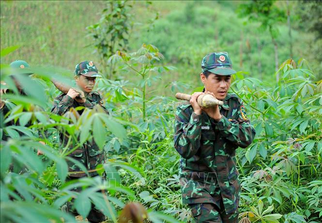 Trong ảnh: Các cán bộ, chiến sỹ, nhân viên Công ty TNHH MTV Xử lý bom, mìn, vật nổ 319 đã thu được trên 3.300 bom, đạn, vật nổ. Ảnh: Nam Thái - TTXVN