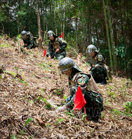 Trong ảnh: Các cán bộ, chiến sỹ, nhân viên Công ty TNHH MTV Xử lý bom, mìn, vật nổ 319 thực hiện nhiệm vụ tìm kiếm, rà phá bom mìn ở khu vực thôn Hoàng Lỳ Pả (Minh Tân, Vị Xuyên, Hà Giang). Ảnh: Nam Thái - TTXVN