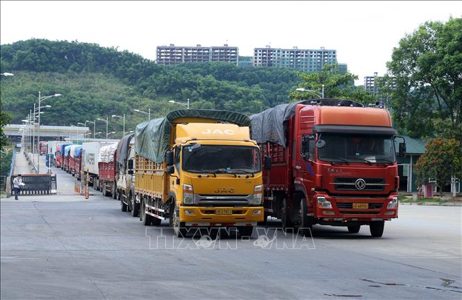 Cargo trucks queue up for customs clearance at the Kim Thanh Border Gate. VNA Photo: Quốc Khánh