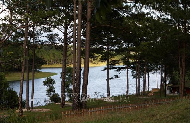 Với diện tích rộng hơn 350ha, nằm giữa rừng thông xanh cùng thảm thực vật phong phú, Hồ Tuyền Lâm là điểm đến của nhiều du khách gần xa. Ảnh: Phạm Hậu - TTXVN