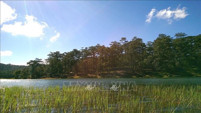 Đây là khu du lịch sinh thái, nghỉ dưỡng, vui chơi, giải trí cao cấp, coi trọng bảo tồn các yếu tố tự nhiên và bảo vệ tài nguyên nước. Ảnh: Phạm Hậu - TTXVN