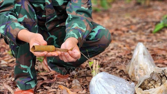 Nhiều di vật được phát hiện ở khu vực đồi Xuân Sơn. Ảnh: Sỹ Thắng-TTXVN