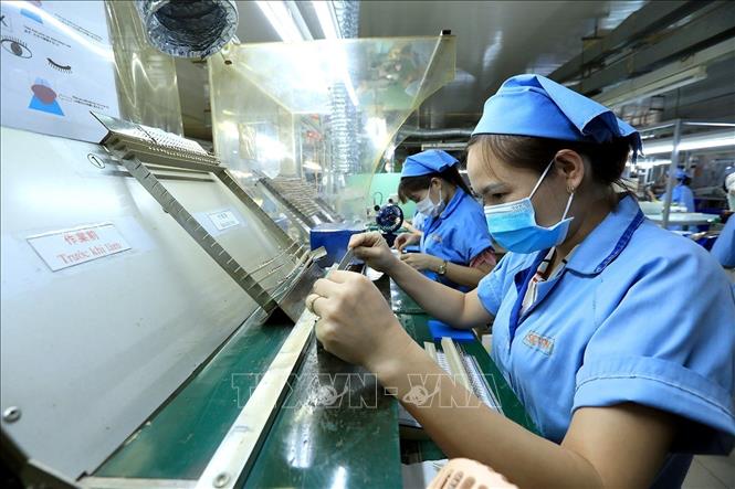 The Japanese-invested Sankoh Vietnam Co. Ltd in the northern province of Hoa Binh. VNA Photo: Tuấn Anh