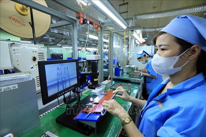 The Japanese-invested Sankoh Vietnam Co. Ltd in the northern province of Hoa Binh. VNA Photo: Tuấn Anh