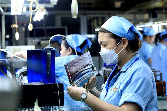 The Japanese-invested Sankoh Vietnam Co. Ltd in the northern province of Hoa Binh. VNA Photo: Tuấn Anh