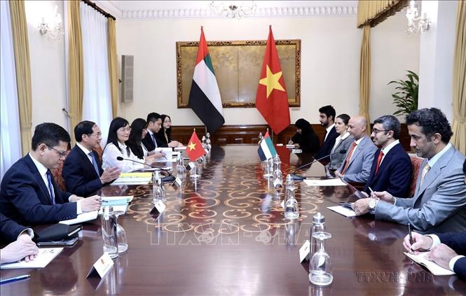 Bộ trưởng Ngoại giao Bùi Thanh Sơn hội đàm với Bộ trưởng Ngoại giao UAE Sheikh Abdullah bin Zayed Al Nahyan thăm chính thức Việt Nam (Hà Nội, 14/6/2023). Ảnh: Lâm Khánh - TTXVN