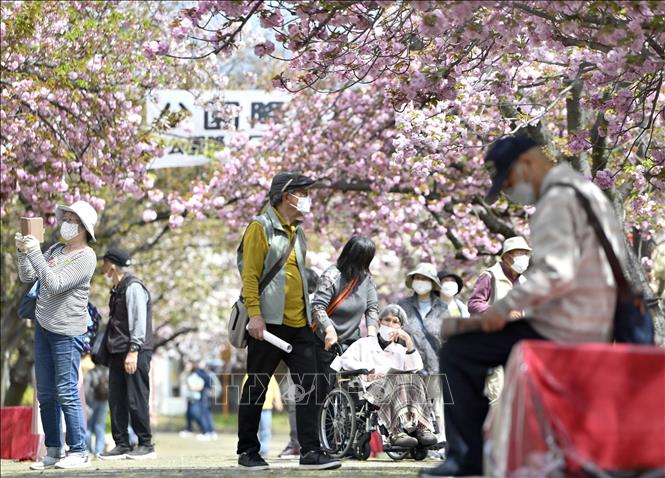 Người cao tuổi tại Osaka, Nhật Bản. Ảnh: Kyodo/TTXVN