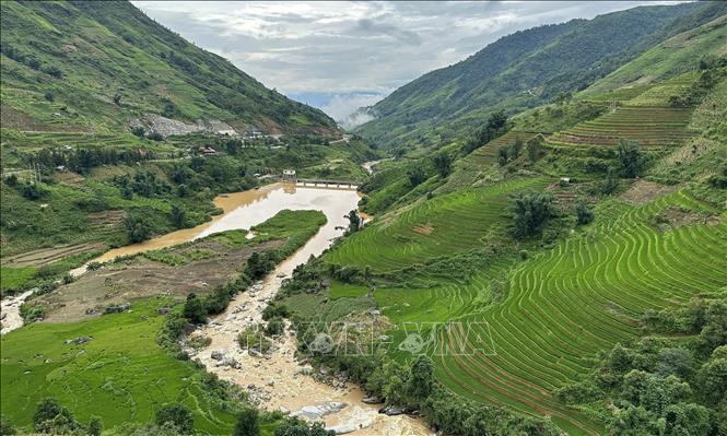 Xã Trung Chải mùa lúa xanh mượt mà phủ kín khắp sườn đồi. Ảnh: Quốc Khánh - TTXVN