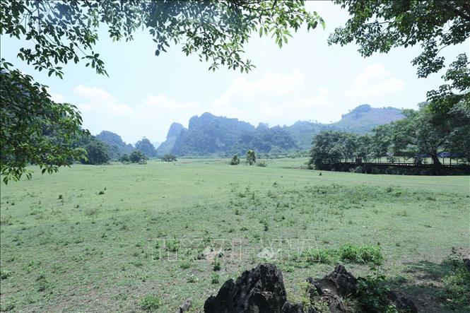 Trong ảnh: Thảo nguyên Đồng Lâm như một bức thảm xanh của tạo hóa dưới chân các ngọn núi đá vôi. Ảnh: Anh Tuấn – TTXVN