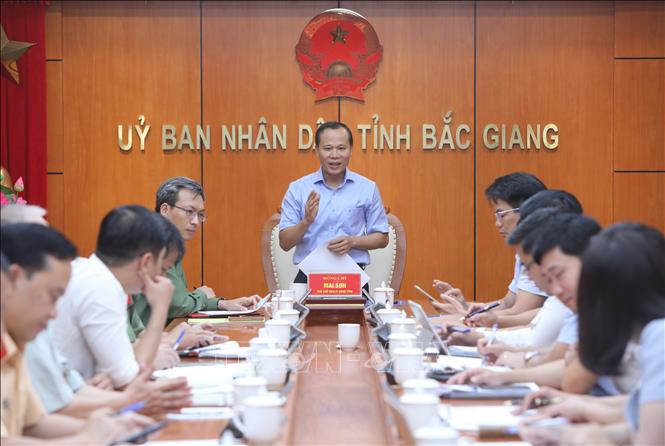 Phó Chủ tịch Thường trực tỉnh Bắc Giang Mai Sơn phát biểu tại hội nghị. Ảnh: Danh Lam -TTXVN