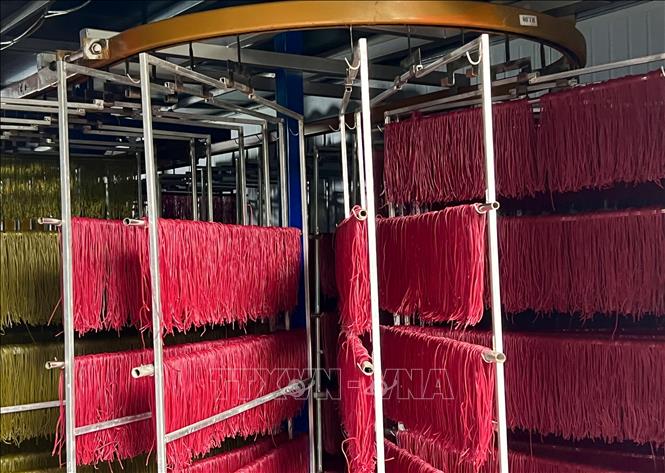 Trong ảnh: Công đoạn sấy để bún được sử dụng máy móc, đảm bảo an toàn vệ sinh thực phẩm. Ảnh: Chu Hiệu-TTXVN