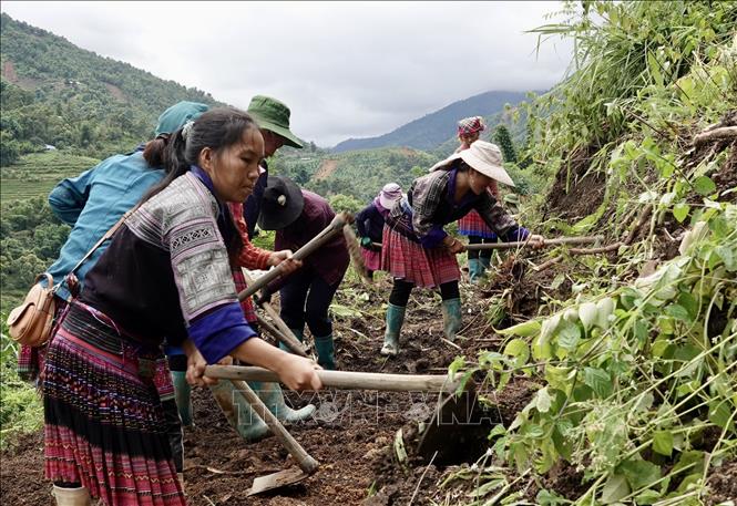 Lực lượng dân quân các xã và nhân dân tập trung khắc phục các tuyến đường bị sạt lở tại bản Đề Sủa, xã Lao Chải. Ảnh: Tuấn Anh - TTXVN
