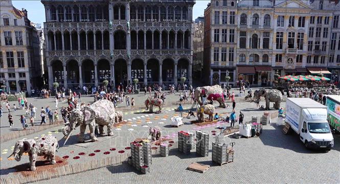 Các tình nguyện viên trang trí hoa cho đàn voi gỗ trên Quảng trường Lớn Brussels. Ảnh: Hương Giang - PV TTXVN tại Bỉ 