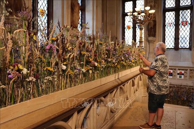 Hoa trang trí tại cầu thang lối lên Tòa Thị chính Brussels. Ảnh: Hương Giang - PV TTXVN tại Bỉ 