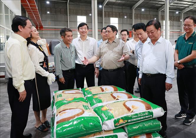 Thủ tướng Phạm Minh Chính xem sản phẩm gạo xuất khẩu của Nhà máy chế biến gạo của Công ty TNHH lúa, gạo Việt Nam. Ảnh: Dương Giang-TTXVN
