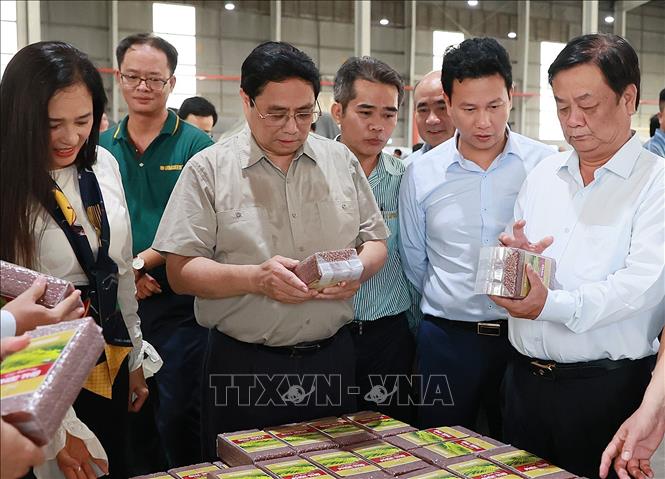 Thủ tướng Phạm Minh Chính xem sản phẩm gạo xuất khẩu của Nhà máy chế biến gạo của Công ty TNHH lúa, gạo Việt Nam. Ảnh: Dương Giang-TTXVN
