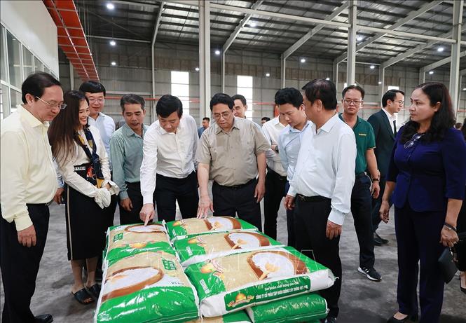 Thủ tướng Phạm Minh Chính xem sản phẩm gạo xuất khẩu của Nhà máy chế biến gạo của Công ty TNHH lúa, gạo Việt Nam. Ảnh: Dương Giang-TTXVN
