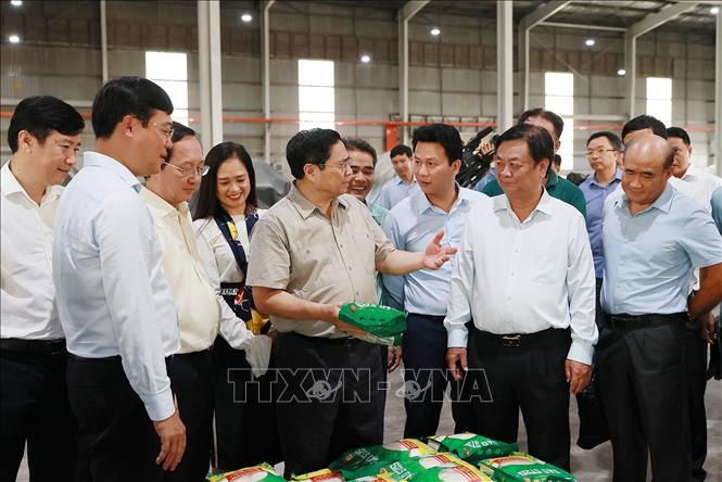 Thủ tướng Phạm Minh Chính xem sản phẩm gạo xuất khẩu của Nhà máy chế biến gạo của Công ty TNHH lúa, gạo Việt Nam. Ảnh: Dương Giang-TTXVN
